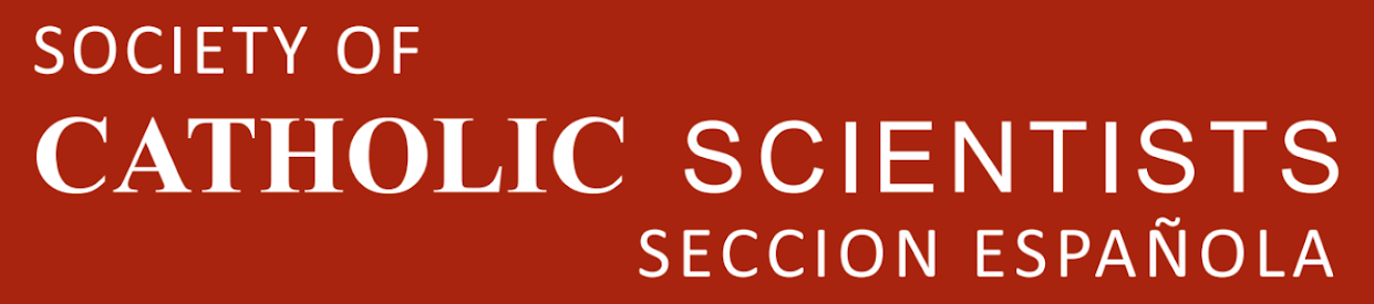 IV Congreso Internacional SCCE